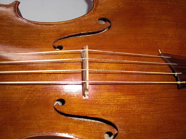 640px-Cello_strung_gut cello bridge positioning