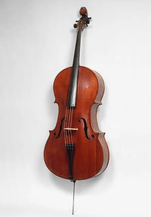 bass 4 upright bass double bass upright bass standing bass