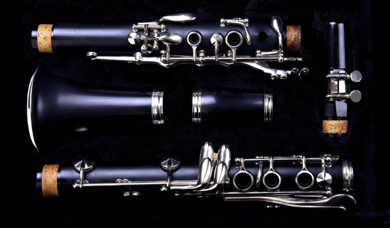 clarinet 3 Clarinet in a case